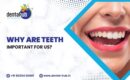 Why Are Teeth Important for Us?